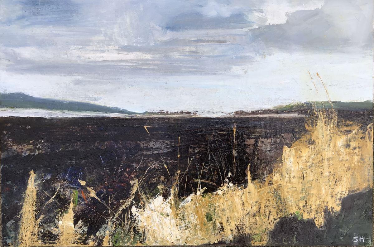 Coastal Path, oil painting by Sandra Haney